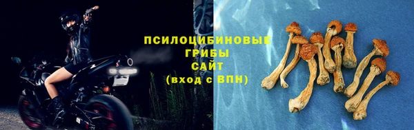 скорость Абаза