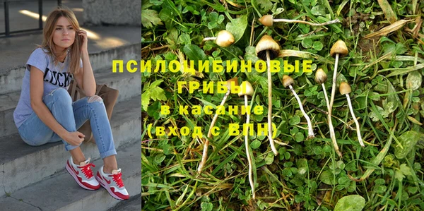 кокс Абинск
