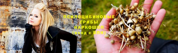 тгк Абдулино