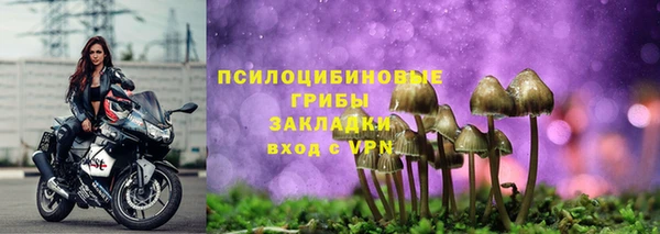 скорость Абаза