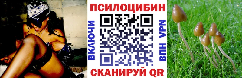 где продают наркотики  Холм  мориарти какой сайт  Псилоцибиновые грибы Cubensis 